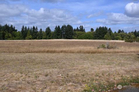 9334 Gustafson Lane Sw Rochester WA 98579