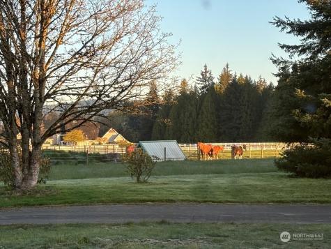 9334 Gustafson Lane Sw Rochester WA 98579