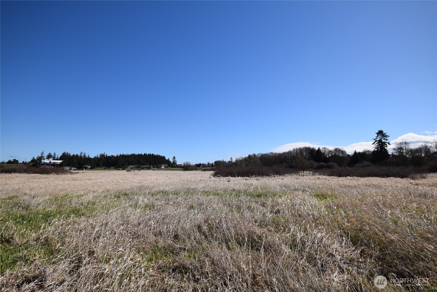 260 Secluded Way Sequim WA 98382
