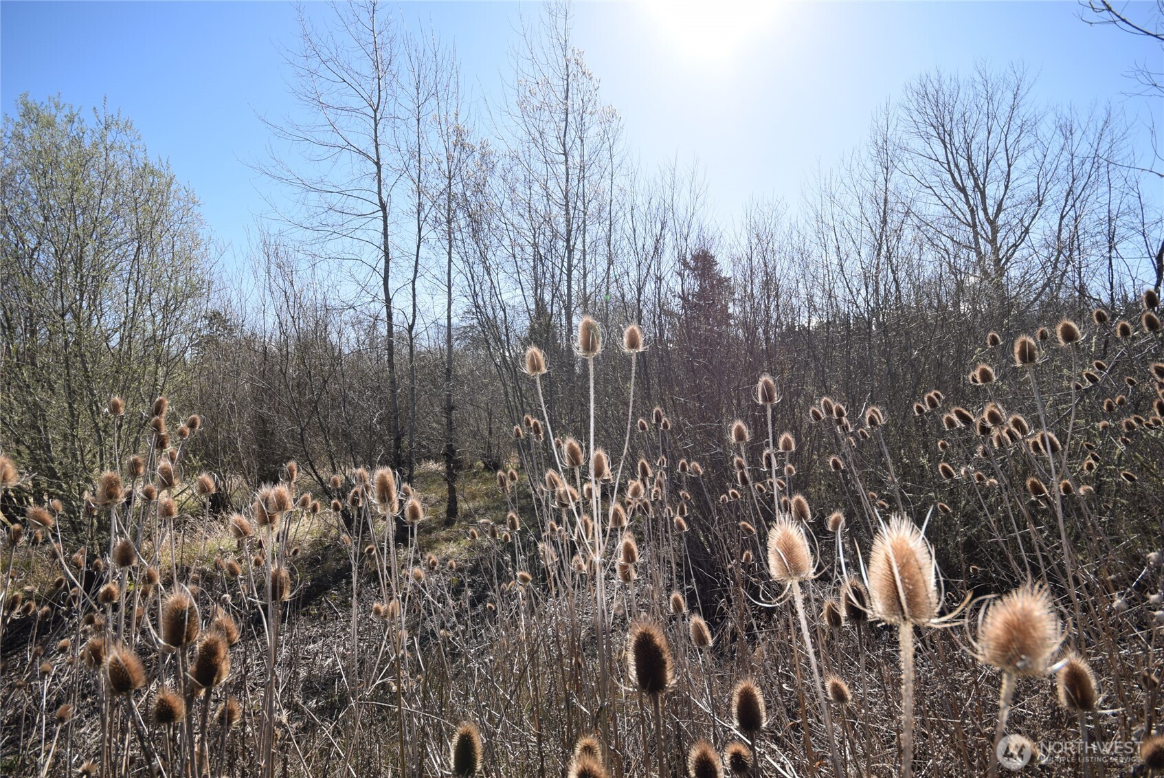 260 Secluded Way Sequim WA 98382