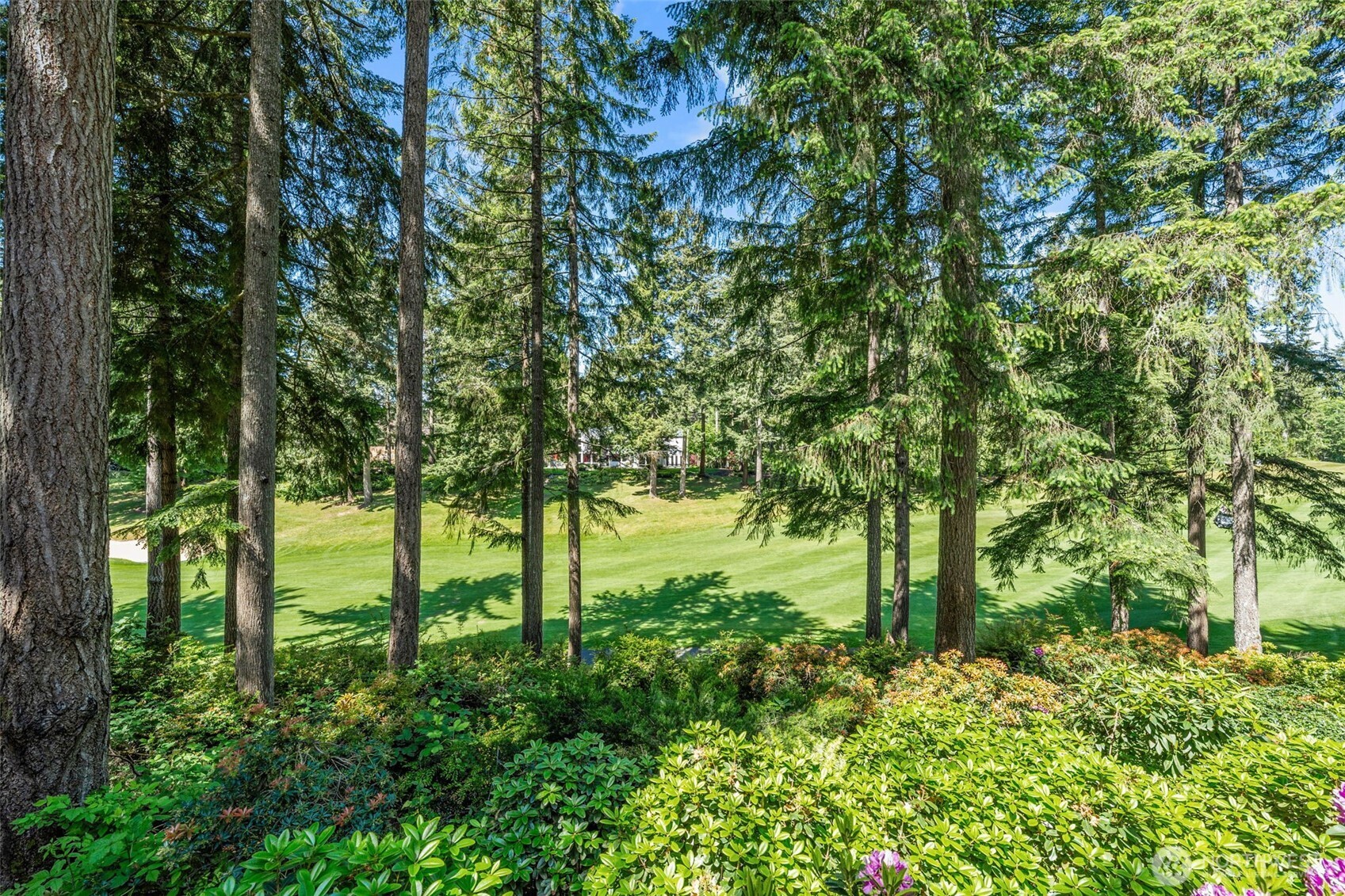 4811 Old Stump Drive NW Gig Harbor WA 98332