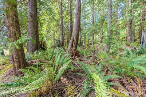 530 Montgomery Lane Port Ludlow WA 98365