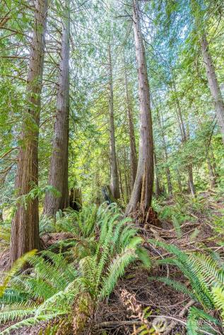 530 Montgomery Lane Port Ludlow WA 98365