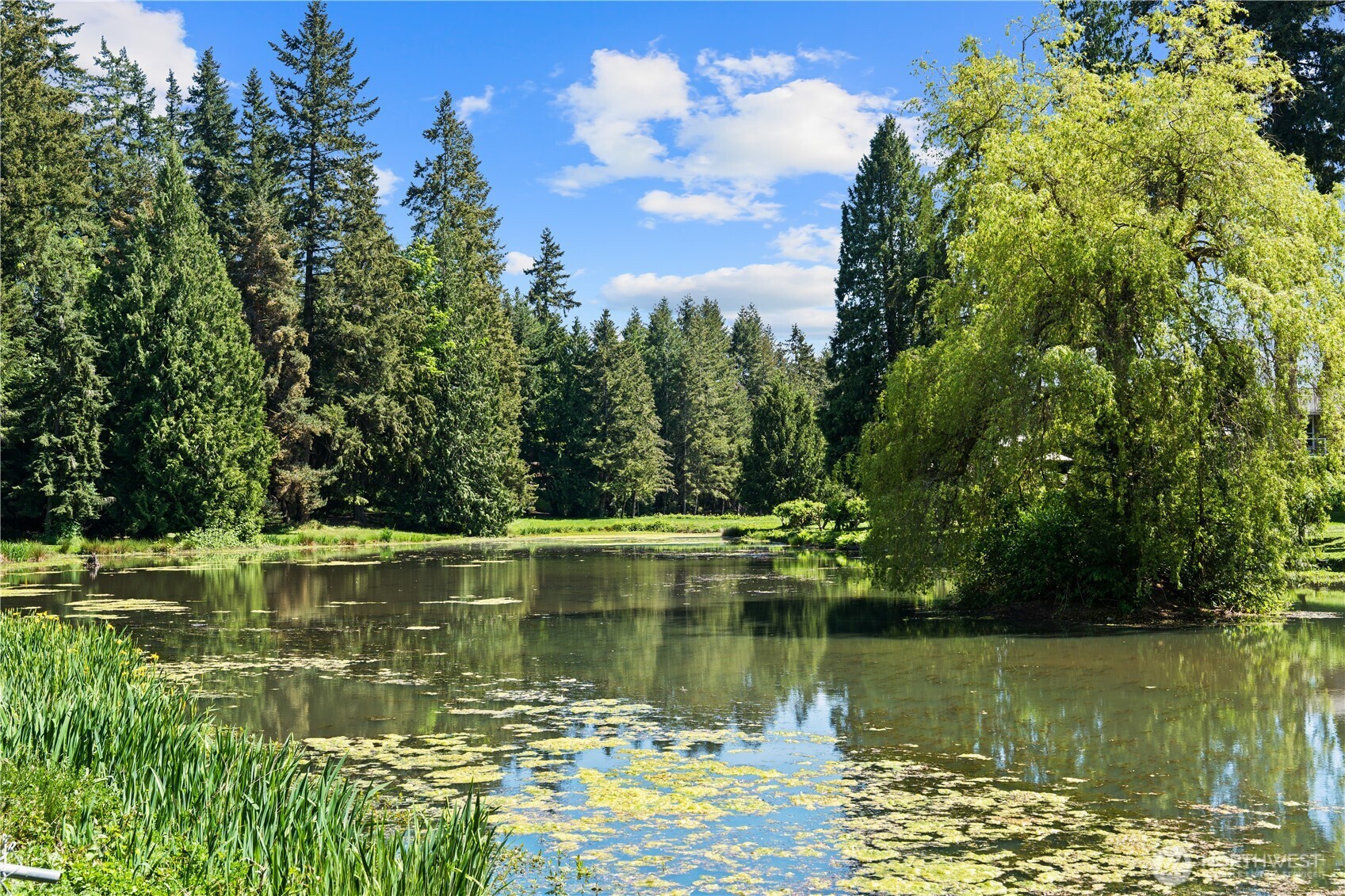 23825 15th Avenue SE Bothell WA 98021