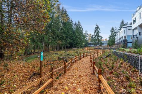 1142 129th Court NE Bellevue WA 98005