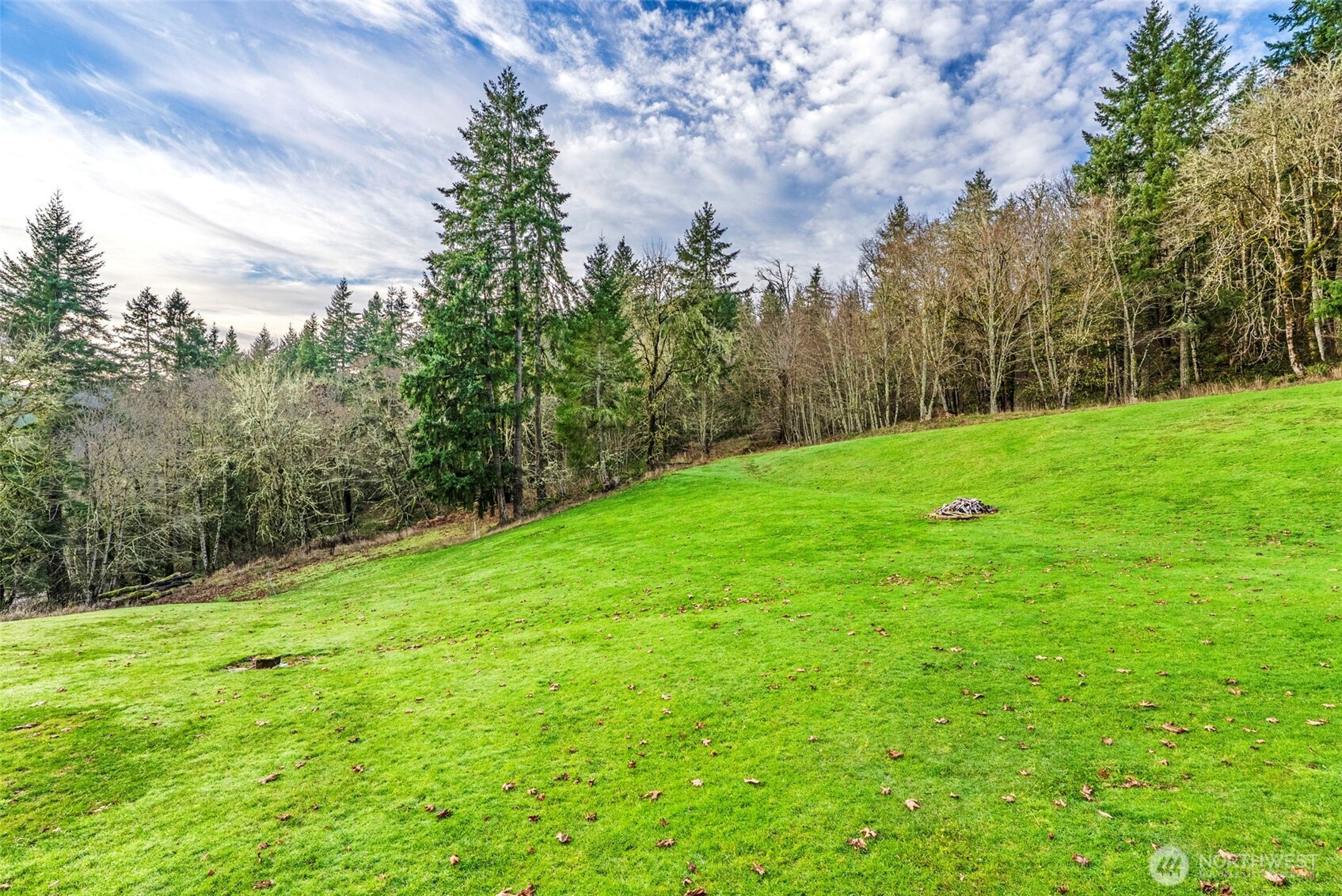 303 Shadow Mount Road Silverlake WA 98645