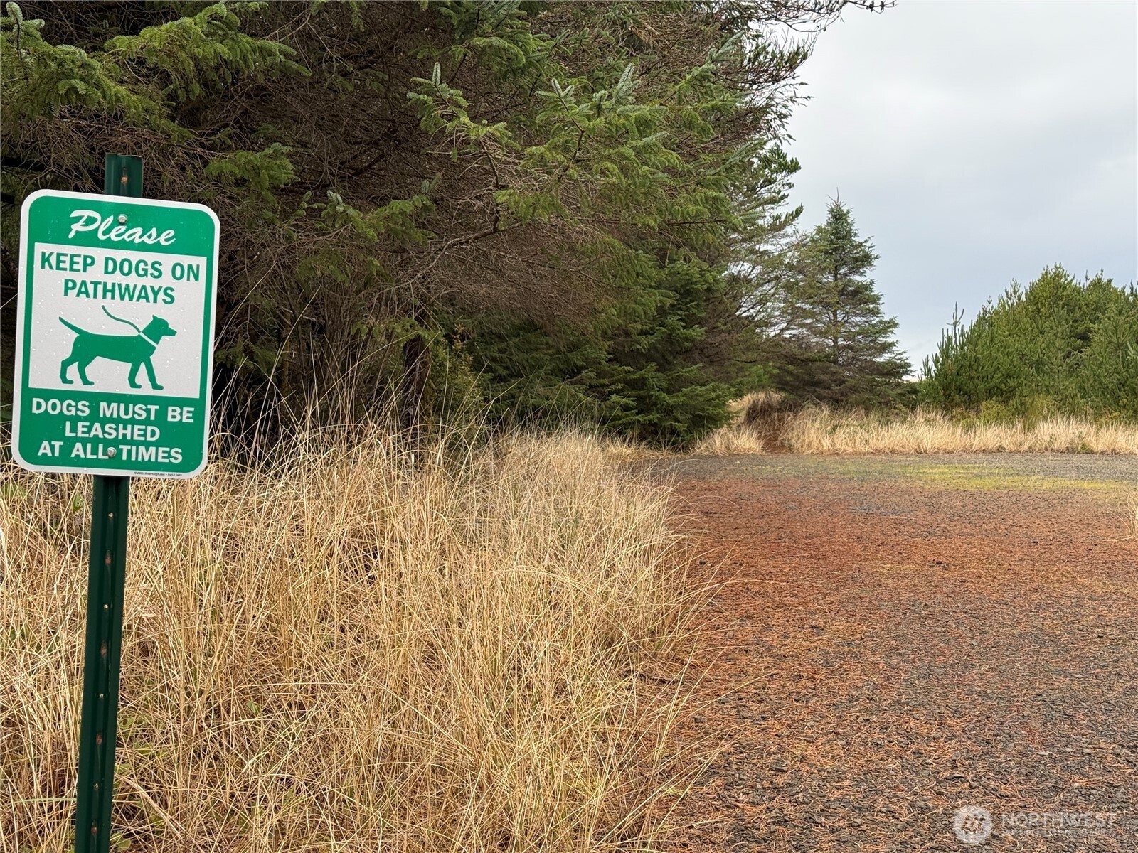 1207 215th Lane Ocean Park WA 98640
