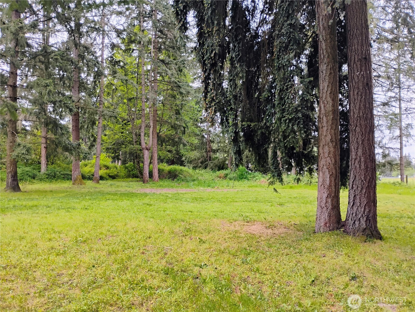 36418 56th Avenue Court S Roy WA 98580
