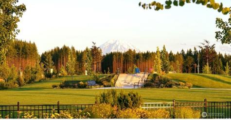 34210 Buckeye Avenue SE Black Diamond WA 98010