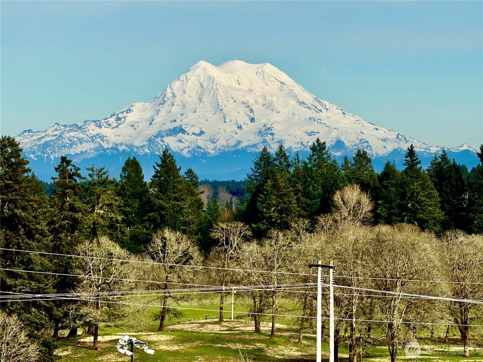 2835 Arrowroot Loop SE Lacey WA 98513