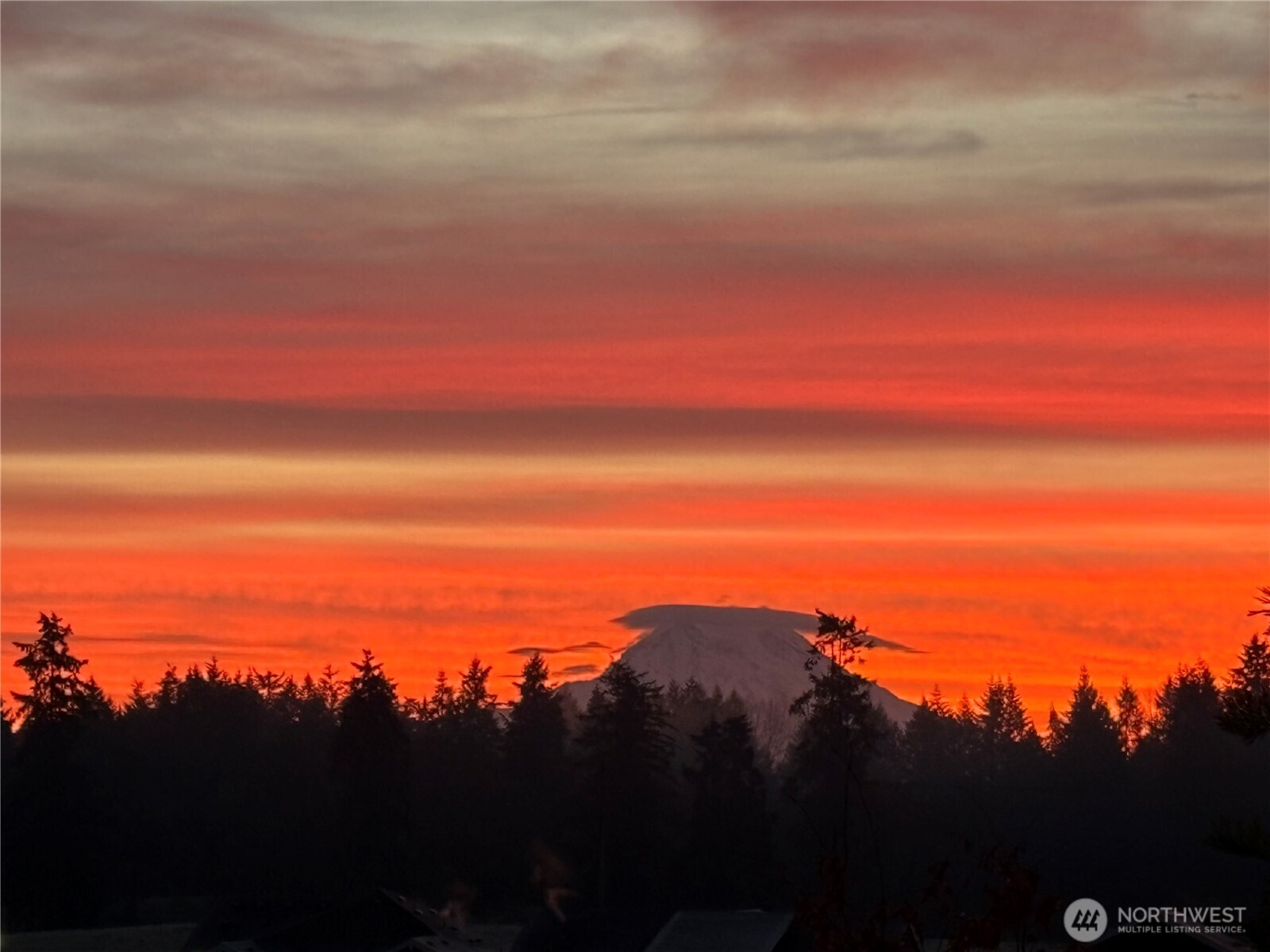 2835 Arrowroot Loop SE Lacey WA 98513