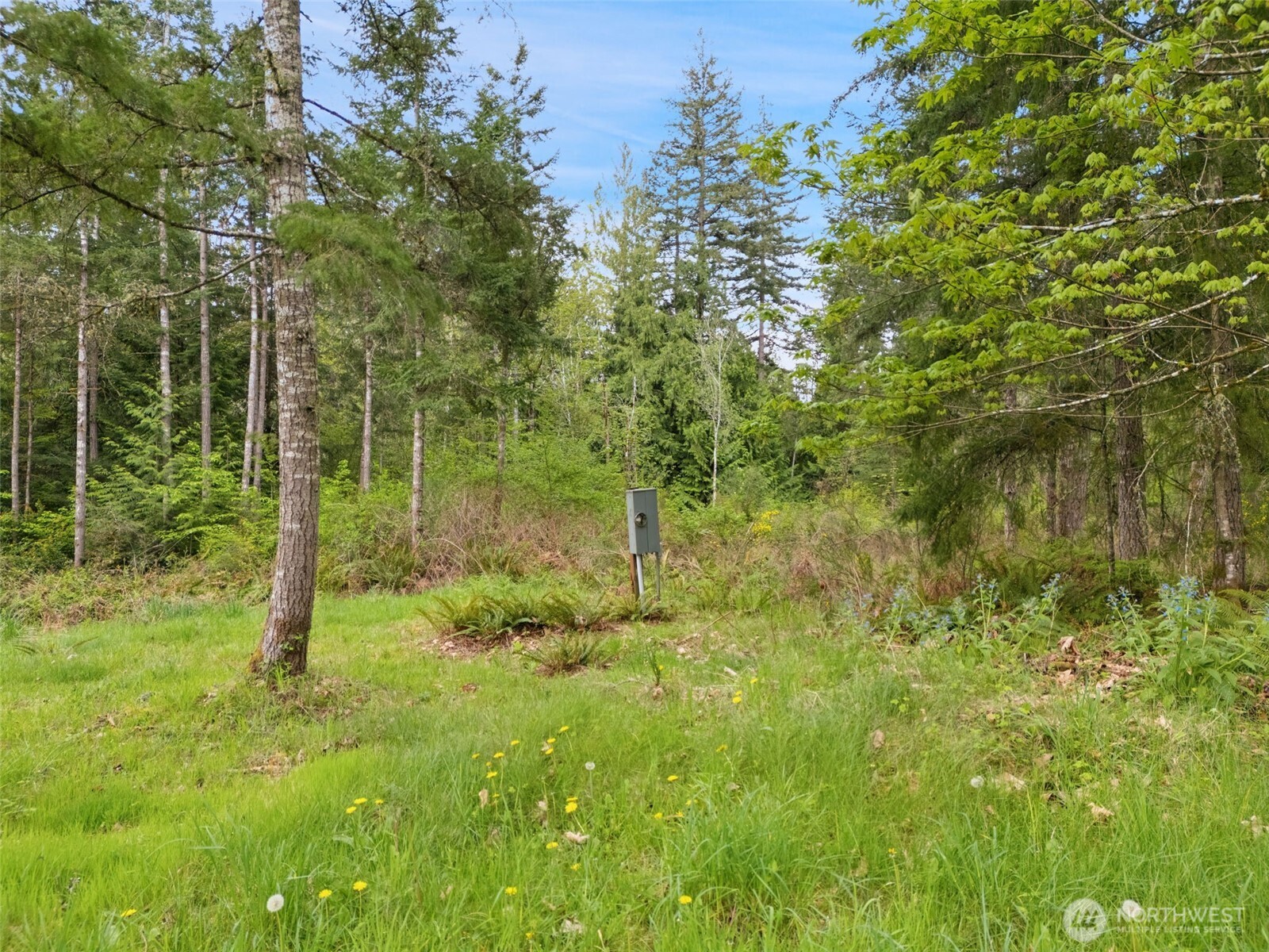 6944 SE Nelson Road Olalla WA 98359
