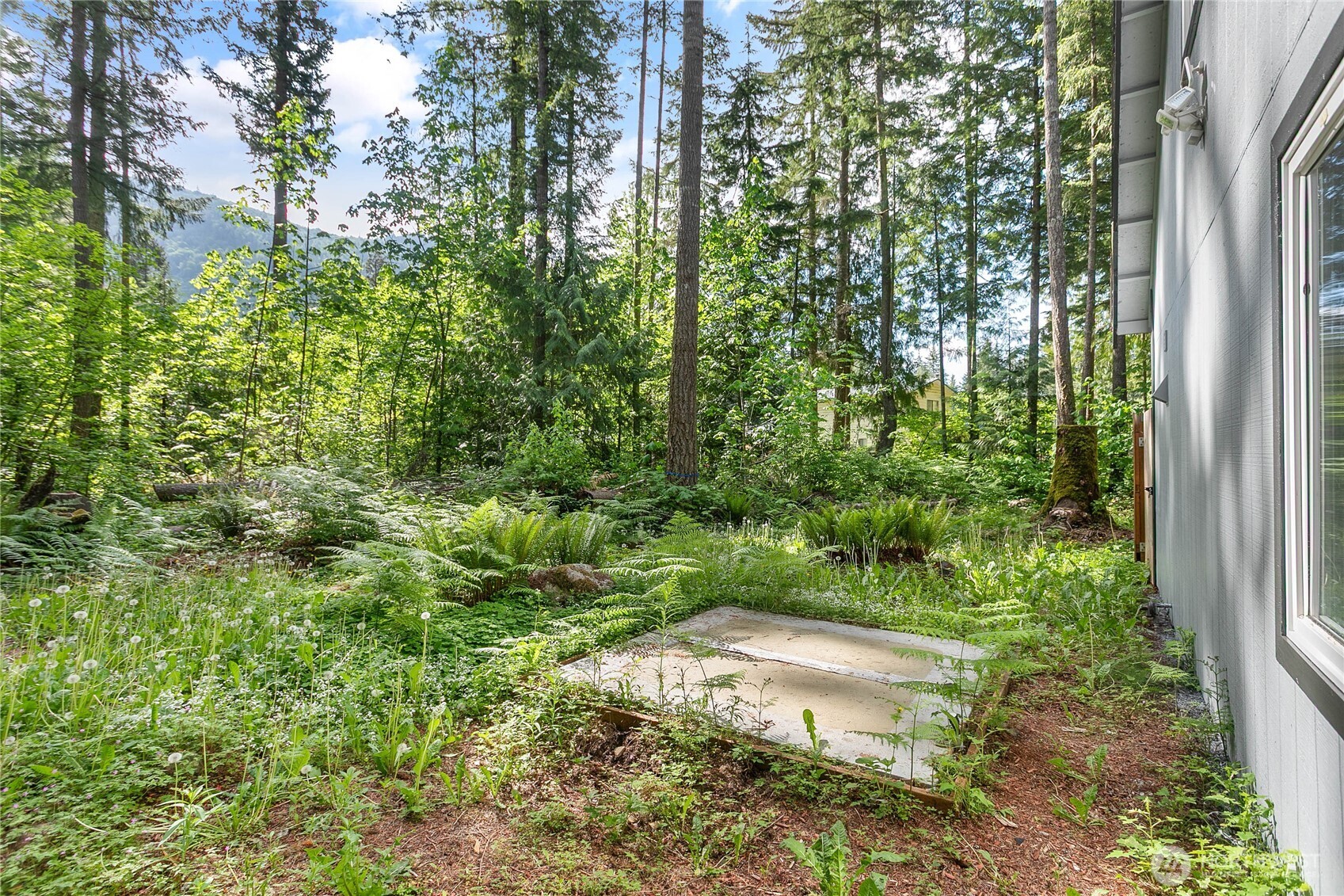981 Red Valley Lane Maple Falls WA 98266