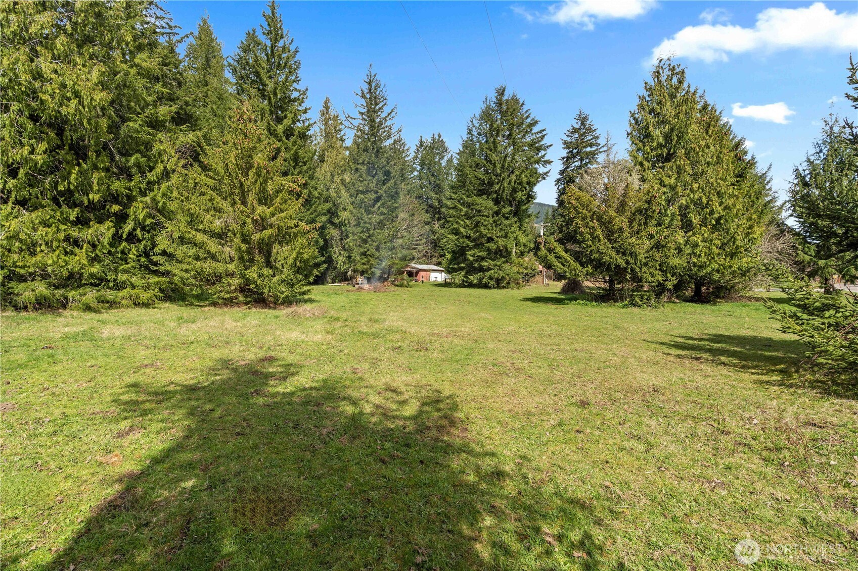 54715 278th Avenue E Ashford WA 98304