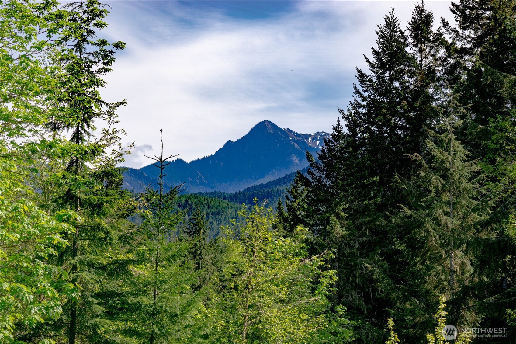89 Slab Camp Road Sequim WA 98382