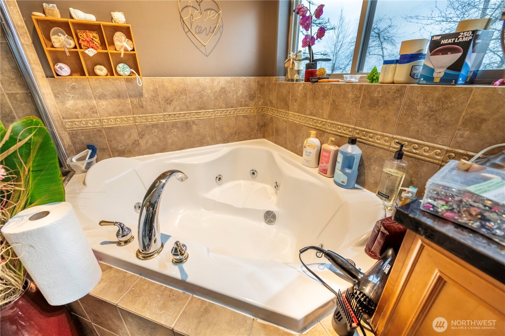 4173 Dover Bellingham WA 98226