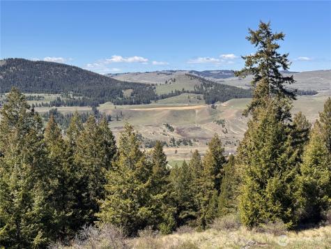 27 Mule Deer Ridge Road Oroville WA 98844