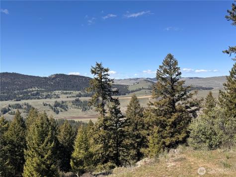 27 Mule Deer Ridge Road Oroville WA 98844