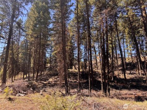 27 Mule Deer Ridge Road Oroville WA 98844