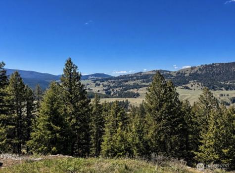 27 Mule Deer Ridge Road Oroville WA 98844