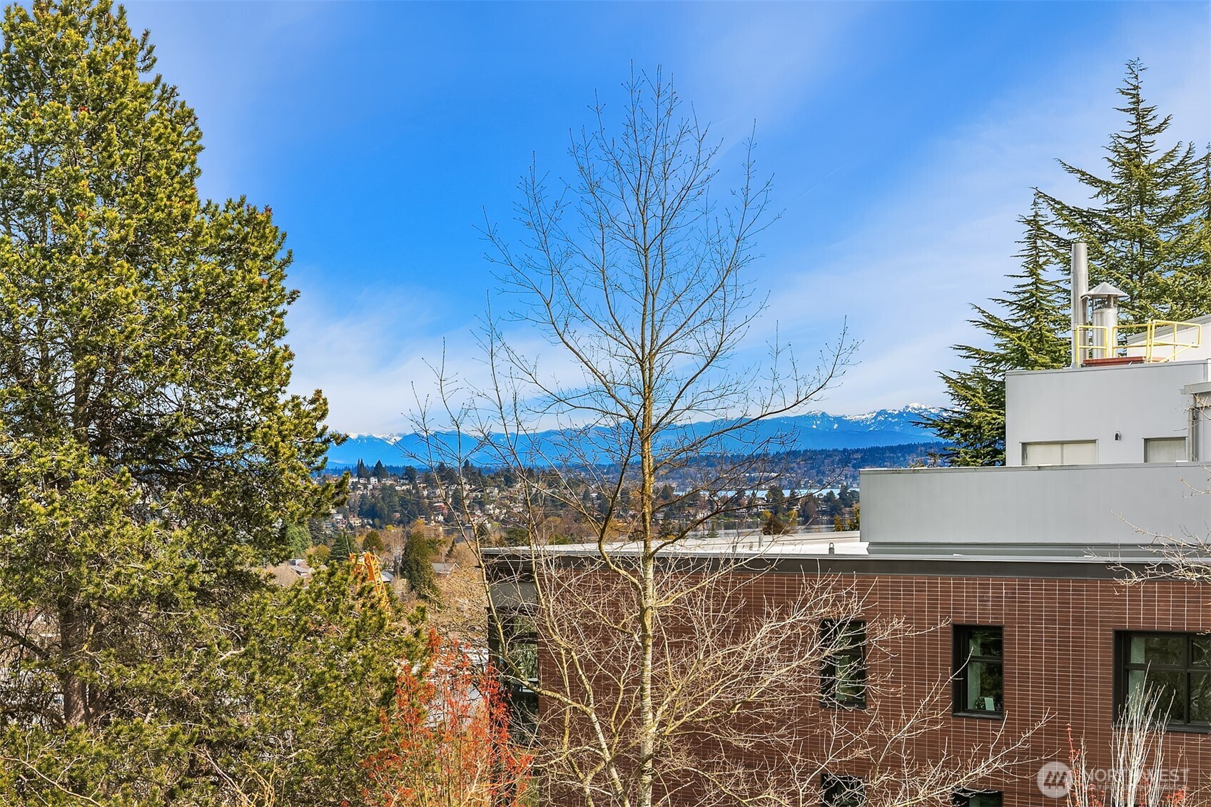 2407 11th Avenue E Seattle WA 98102