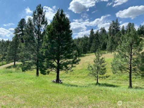 35 Low Ridge Road Malo WA 99150