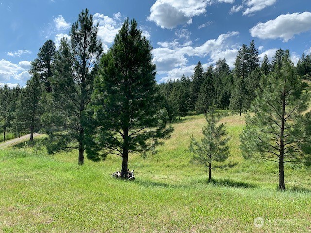 35 Low Ridge Road Malo WA 99150