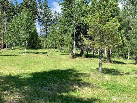 35 Low Ridge Road Malo WA 99150