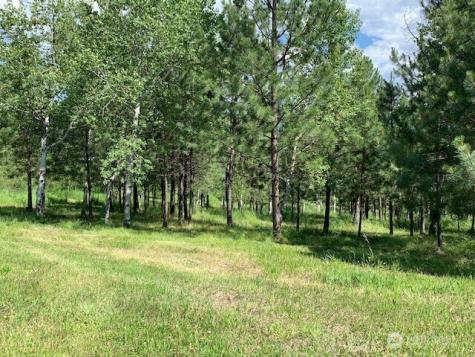 35 Low Ridge Road Malo WA 99150