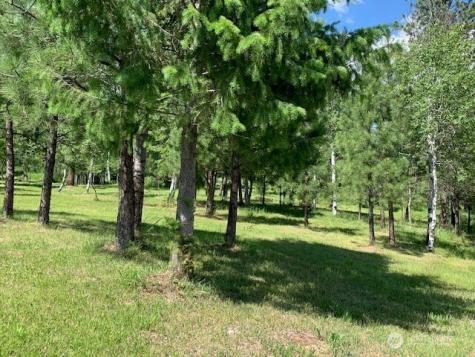 35 Low Ridge Road Malo WA 99150
