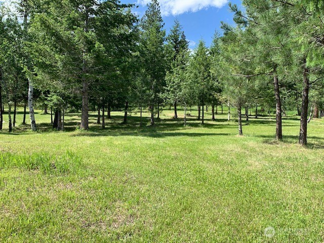 35 Low Ridge Road Malo WA 99150