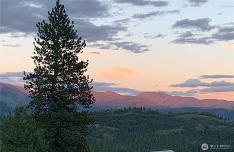 35 Low Ridge Road Malo WA 99150