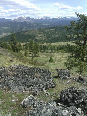35 Low Ridge Road Malo WA 99150