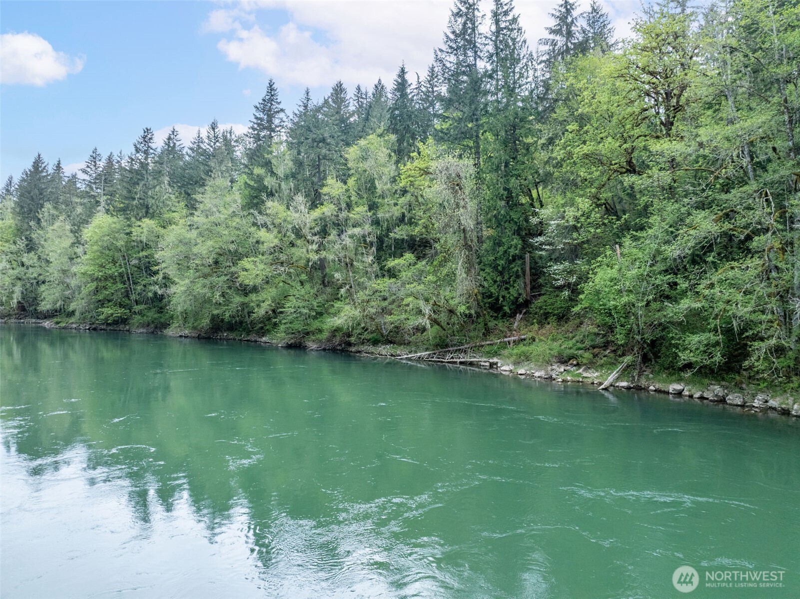 124 Raydel Drive Mossyrock WA 98564