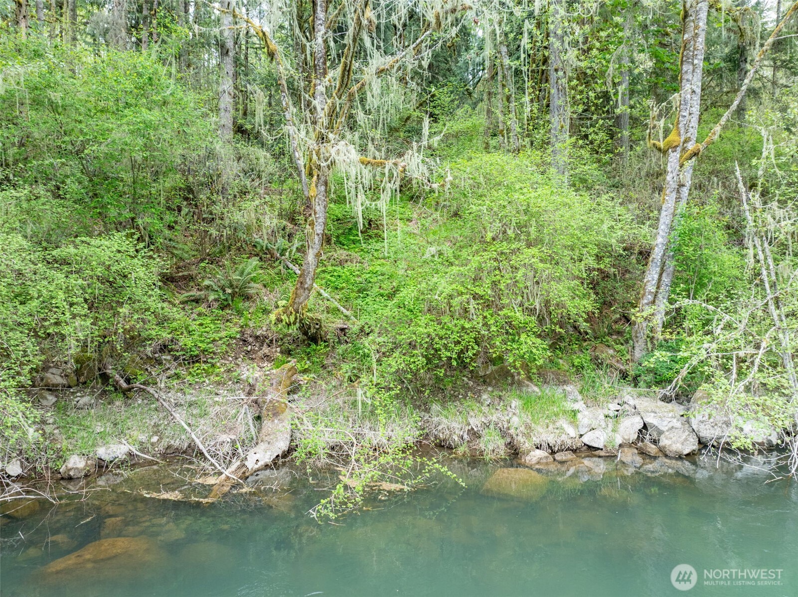 124 Raydel Drive Mossyrock WA 98564