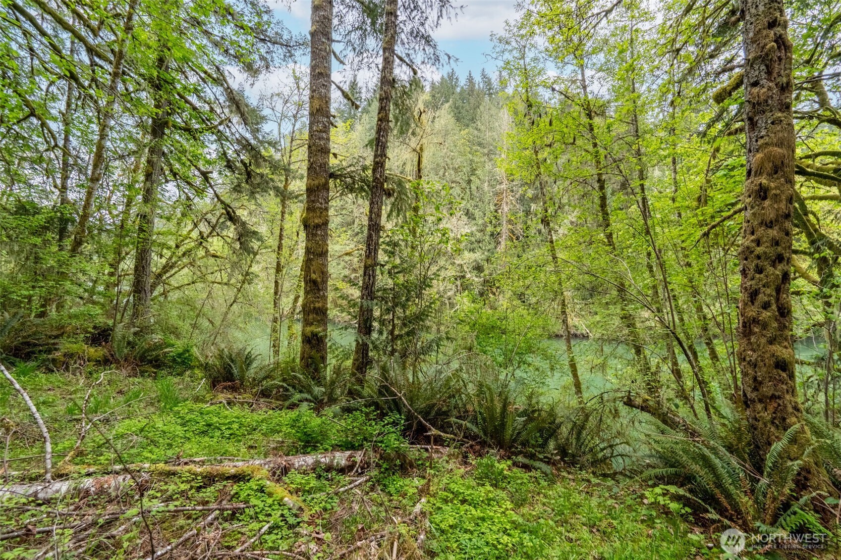 124 Raydel Drive Mossyrock WA 98564