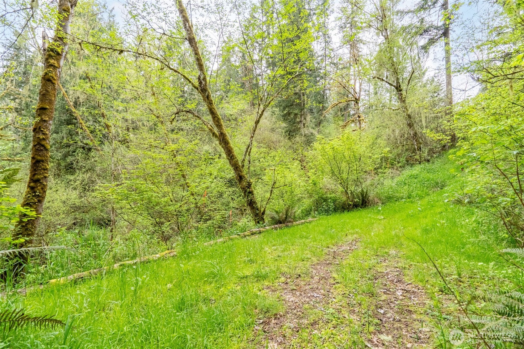 124 Raydel Drive Mossyrock WA 98564