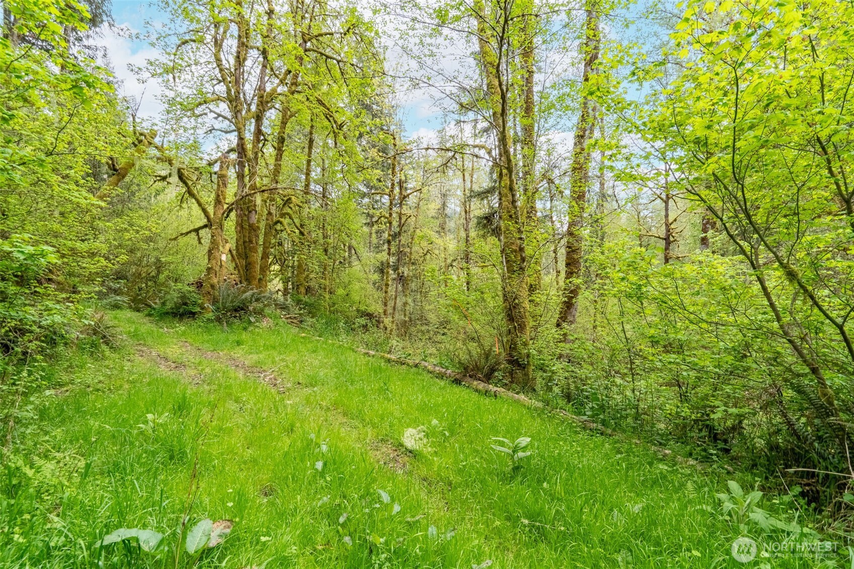 124 Raydel Drive Mossyrock WA 98564