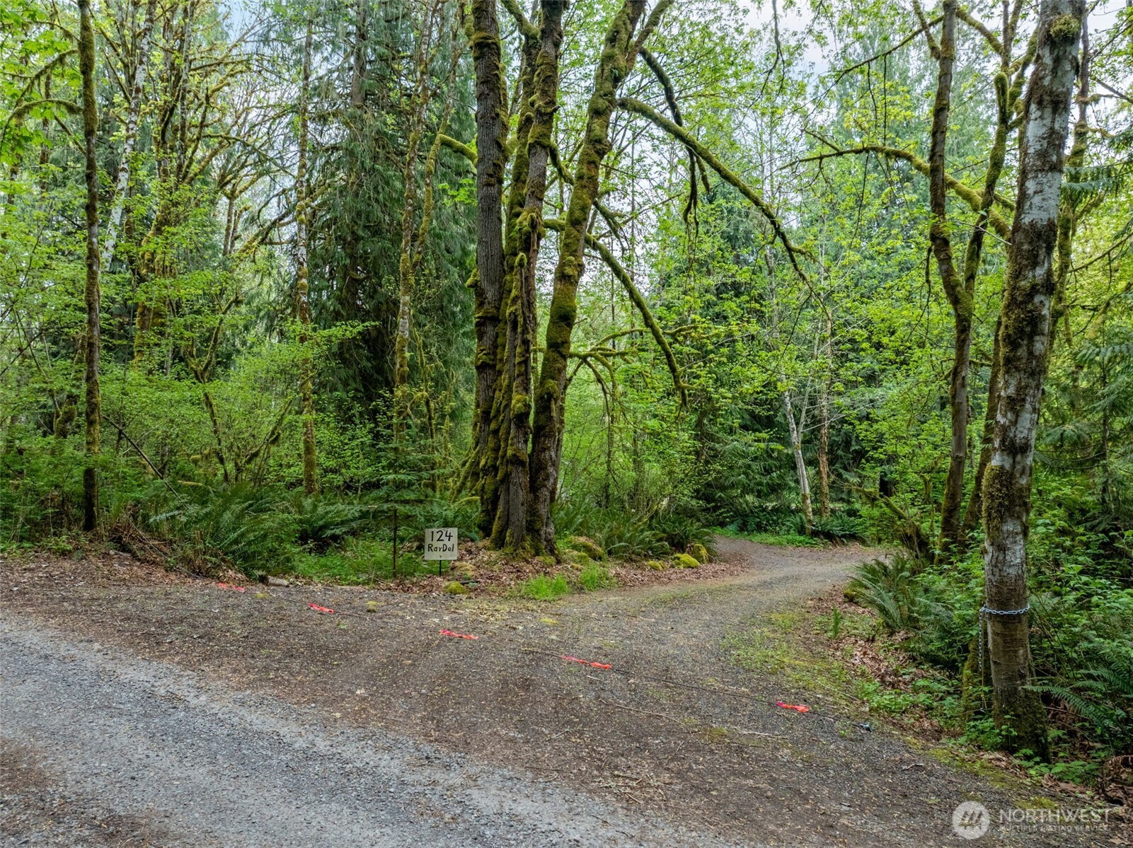 124 Raydel Drive Mossyrock WA 98564
