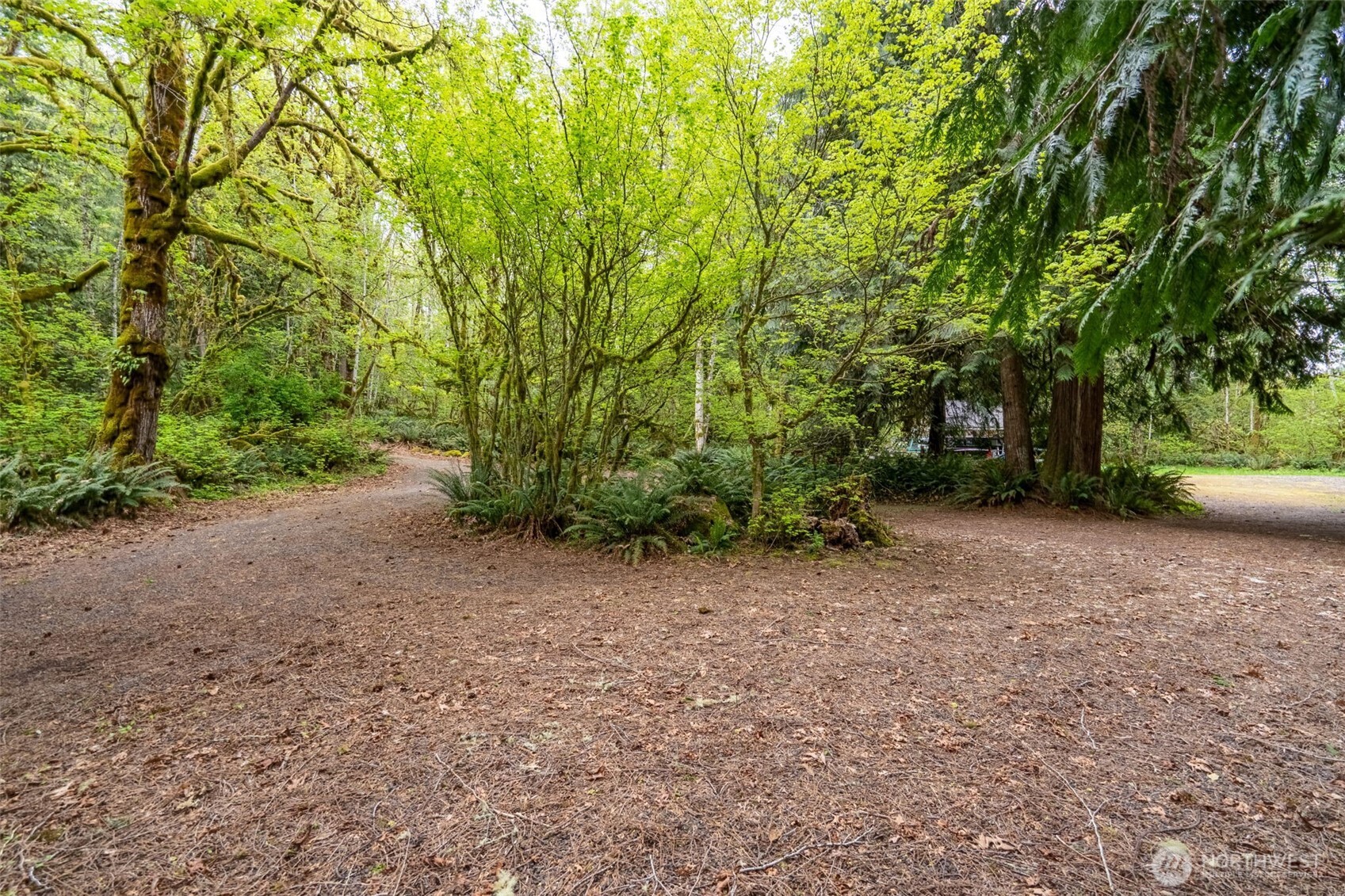124 Raydel Drive Mossyrock WA 98564
