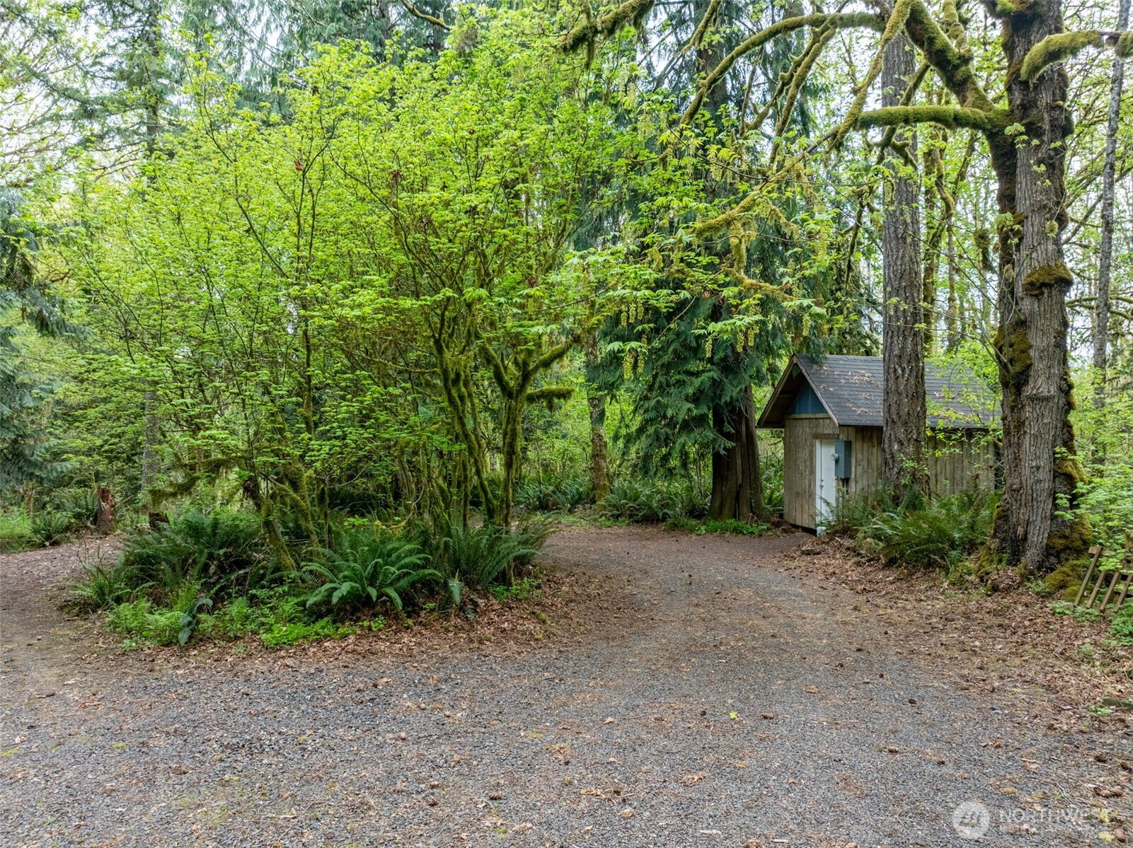 124 Raydel Drive Mossyrock WA 98564