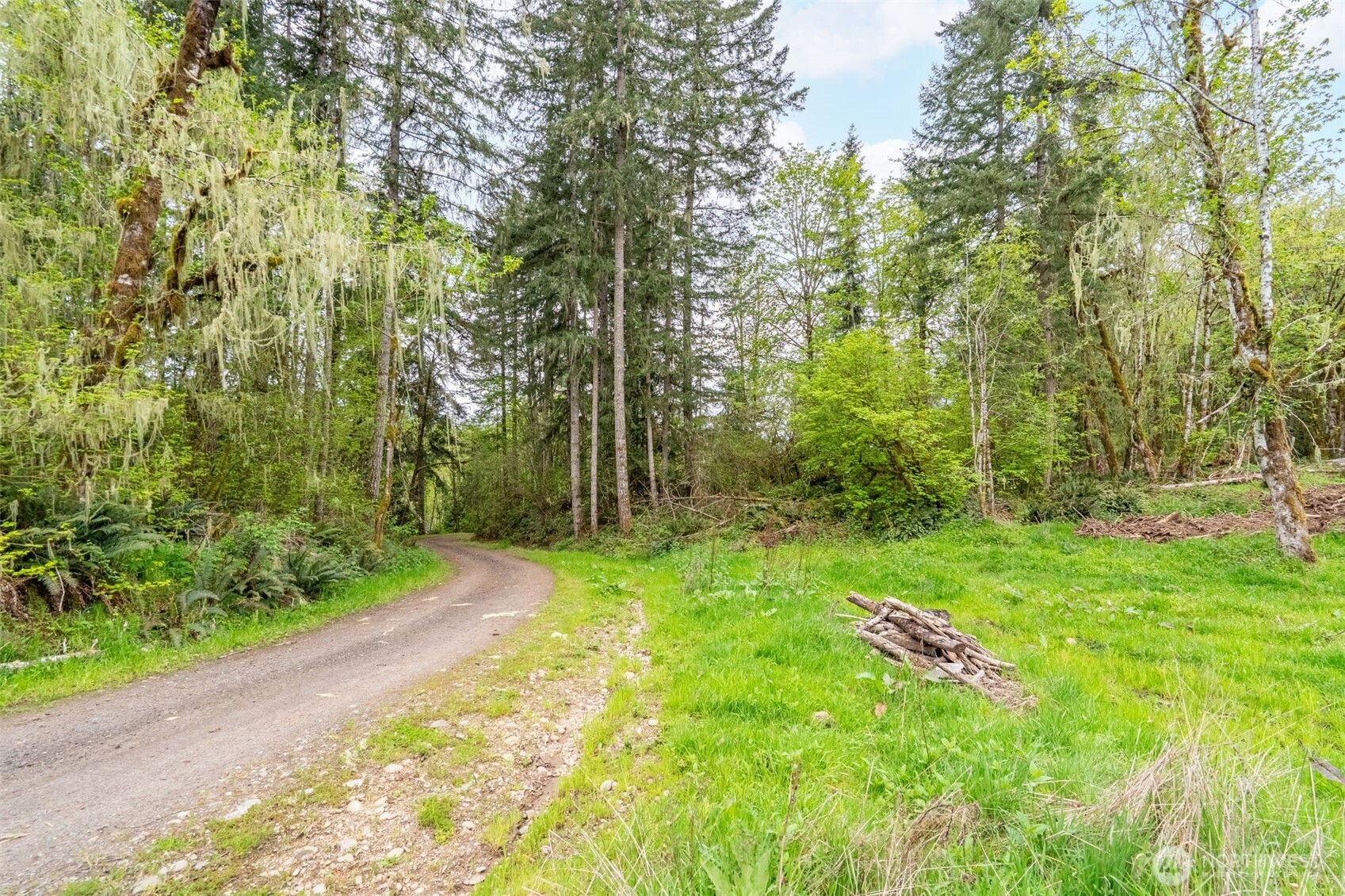 124 Raydel Drive Mossyrock WA 98564