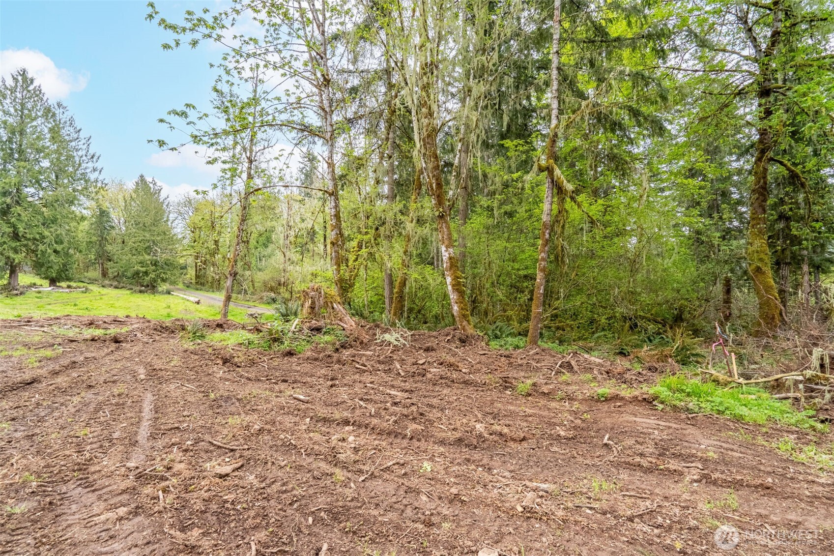 124 Raydel Drive Mossyrock WA 98564