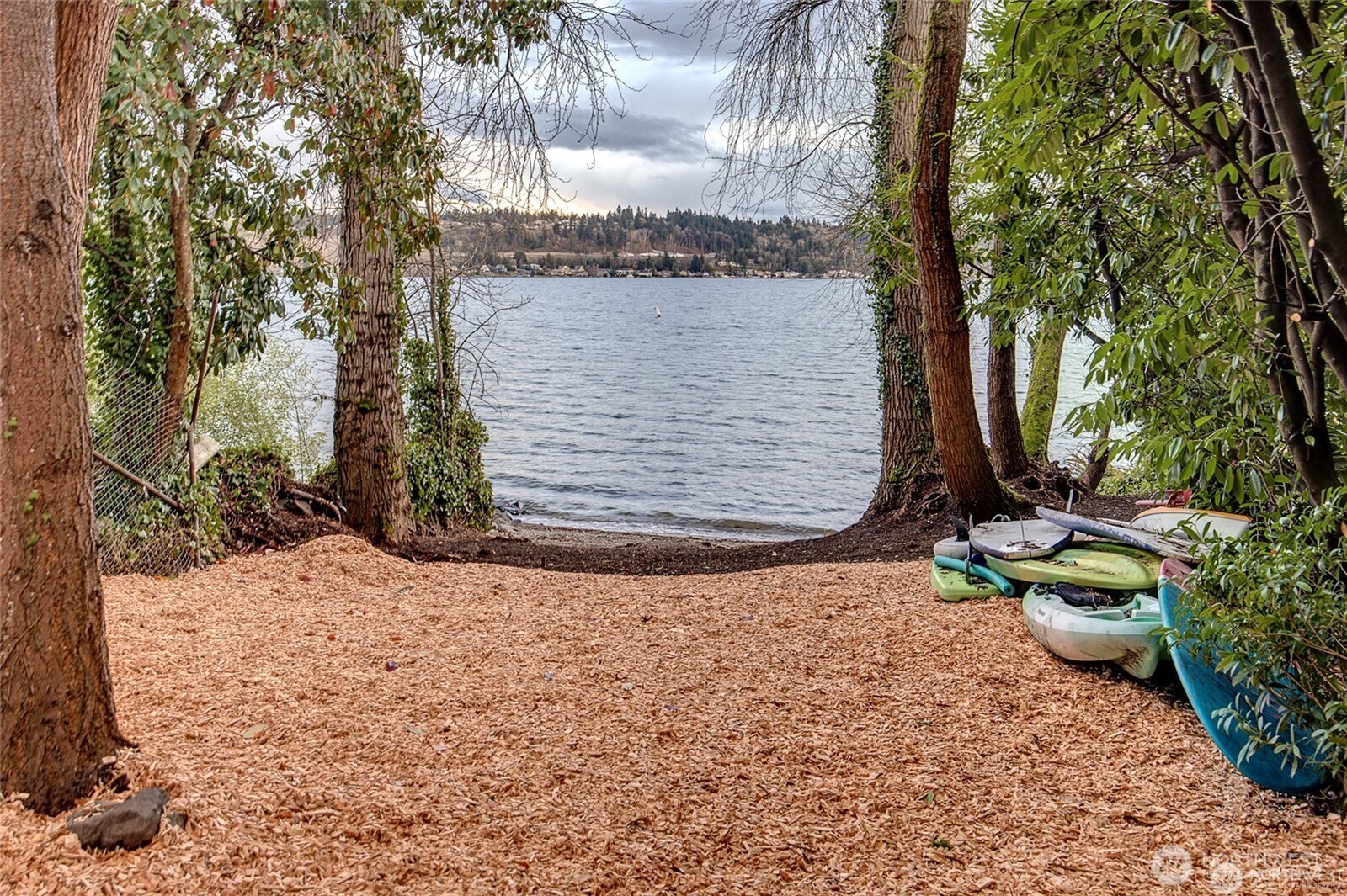 9818 SE 42nd Place Mercer Island WA 98040