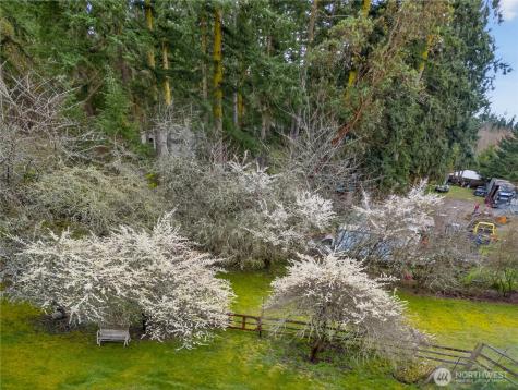 596 Forrest Way Camano Island WA 98282