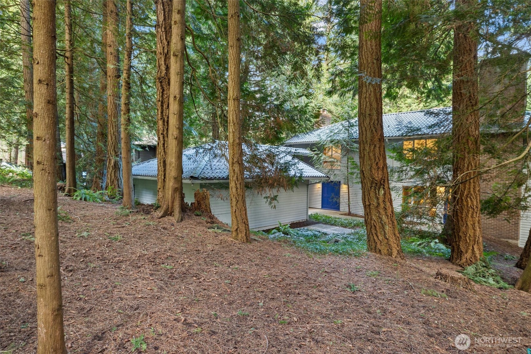 13619 NE 28th Street Bellevue WA 98005
