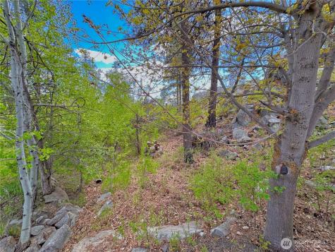 197 Cameron Lake Loop Road Okanogan WA 98840