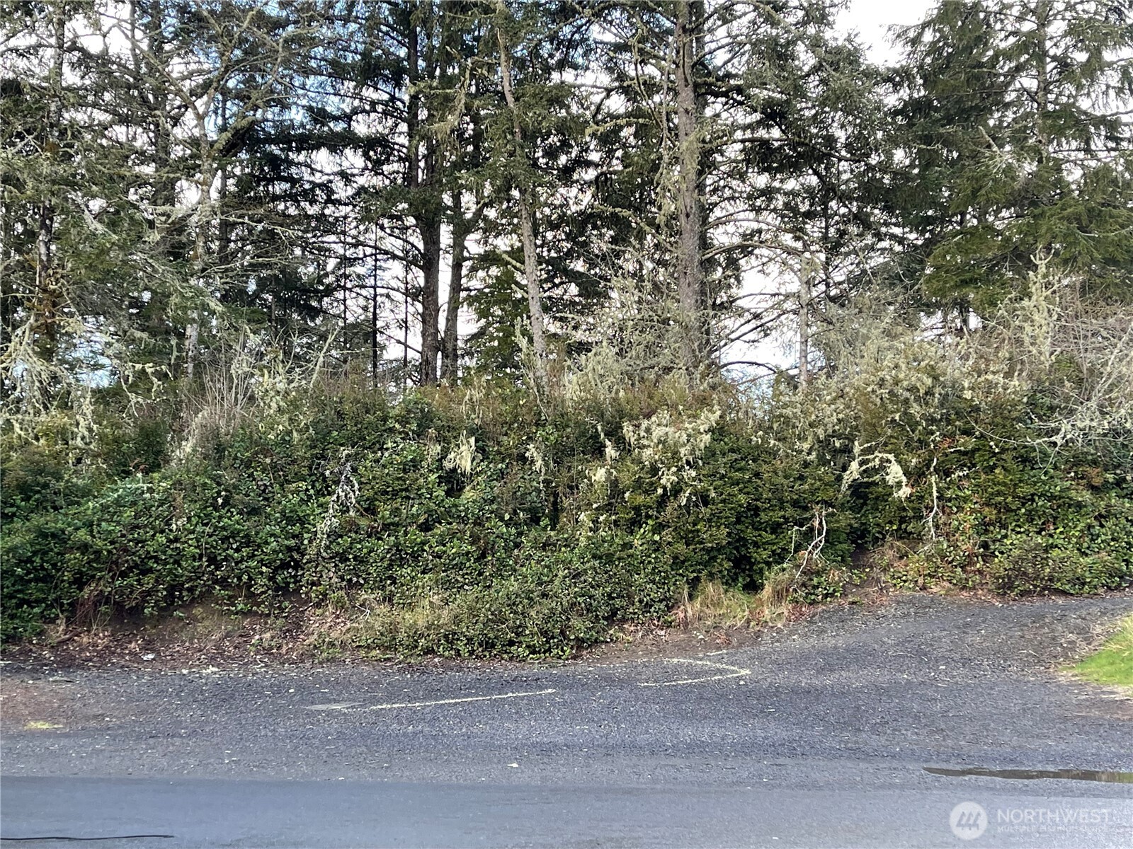 653 Sunset Avenue NE Ocean Shores WA 98569