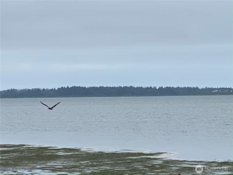1970 State Route 105 Aberdeen WA 98520