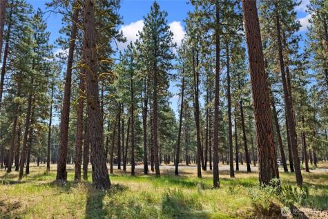 3224 Airport Road Cle Elum WA 98922